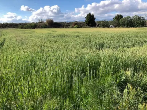 Finca rústica en Navarrete
