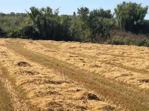 Finca rústica en Navarrete