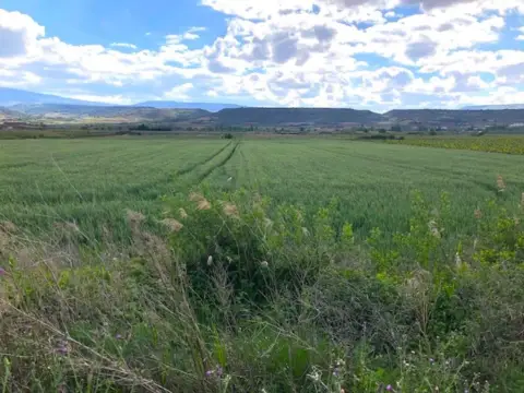 Finca rústica en Navarrete