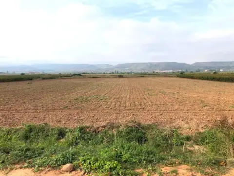 Finca rústica en Navarrete