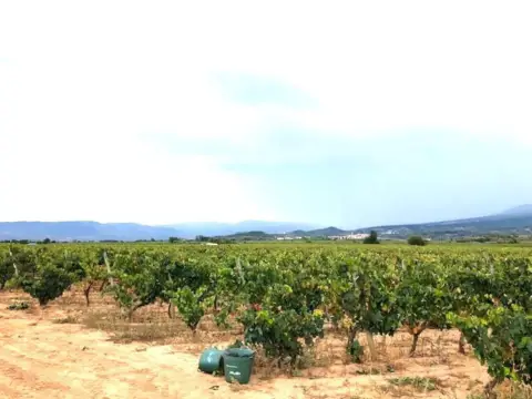 Finca rústica en Navarrete