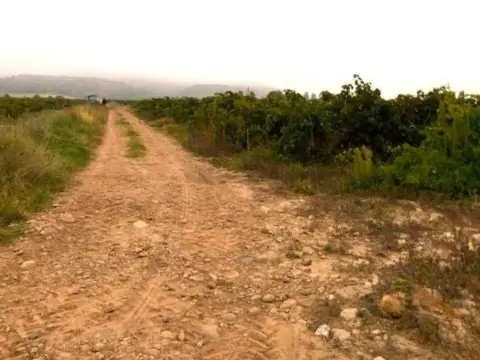 Finca rústica en Navarrete