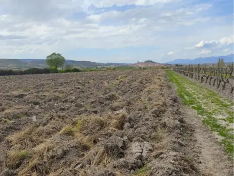 Finca rústica en Navarrete