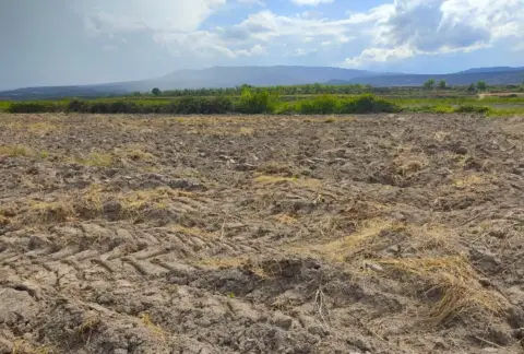 Finca rústica en Navarrete