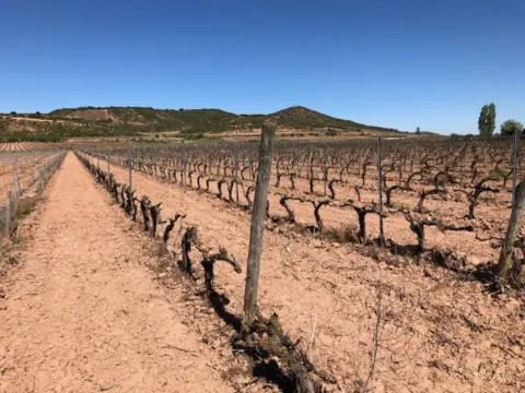 Finca rústica en Navarrete