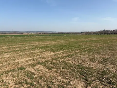 Finca rústica en Arrúbal