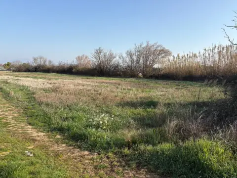 Finca rústica en Alberite