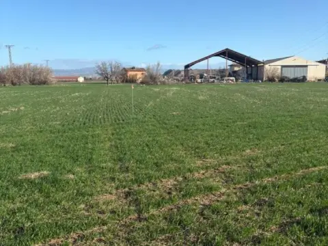 Finca rústica en Villamediana de Iregua