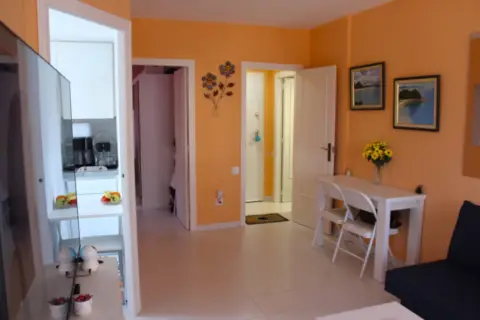 Apartamento en Playa de La Concha