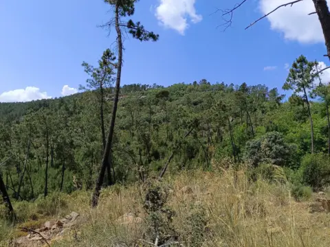 Finca rústica en El Robledillo