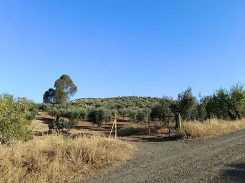 Finca rústica en Montemolín