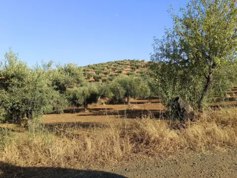 Finca rústica en Montemolín