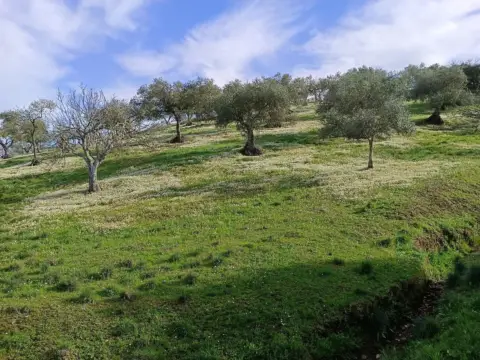 Finca rústica en Monesterio