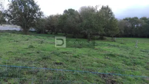 Finca rústica en Pereiro de Aguiar (O)