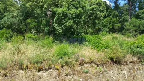 Terreno en Ourense