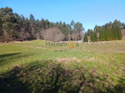 Finca rústica en Ponte Caldelas