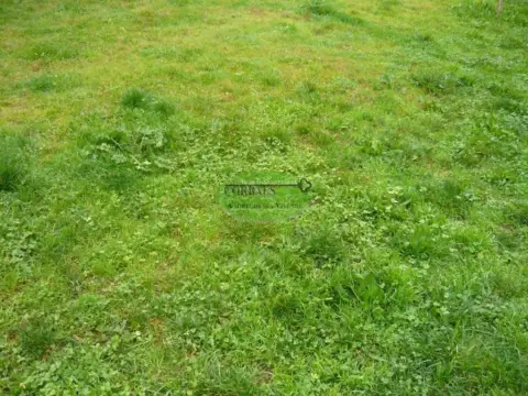 Terreno en Toén