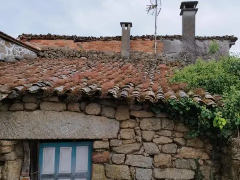 Casa en Pereiro de Aguiar (O)