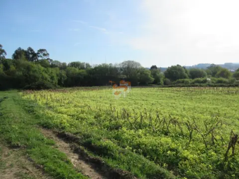 Finca rústica en Narón