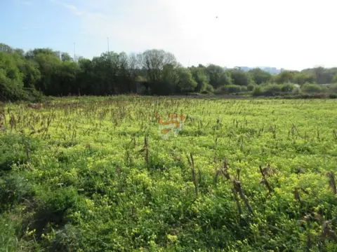 Finca rústica en Narón