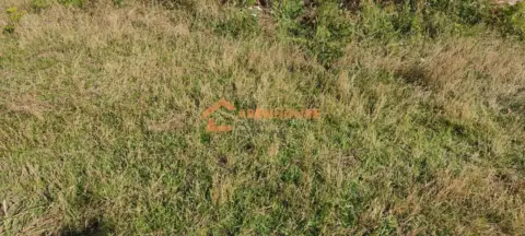 Terreno en Carballiño (O)