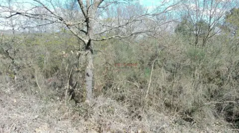 Finca rústica en Pereiro de Aguiar (O)