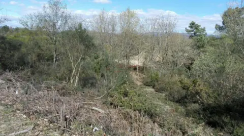 Finca rústica en Pereiro de Aguiar (O)