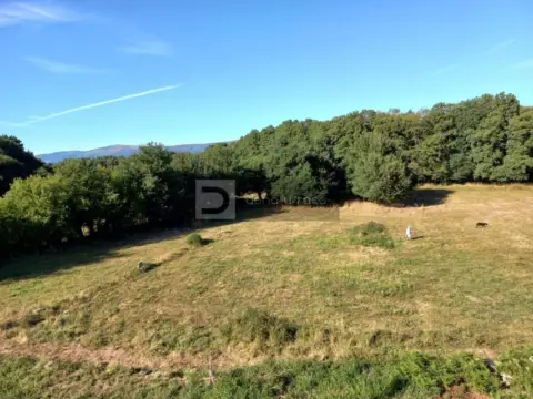 Chalet en Vilar de Barrio