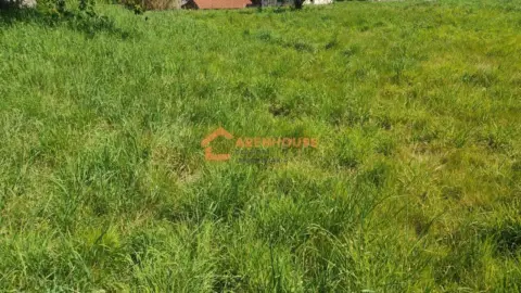 Terreno en San Cibrao Das Viñas