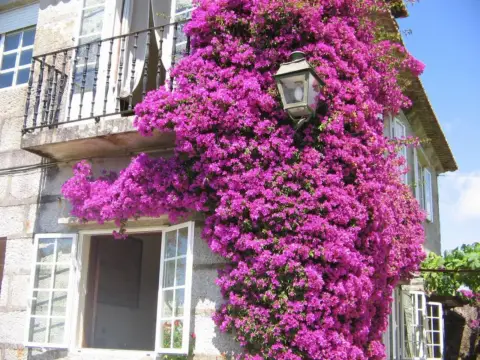 Casa en Bajada a la Praia