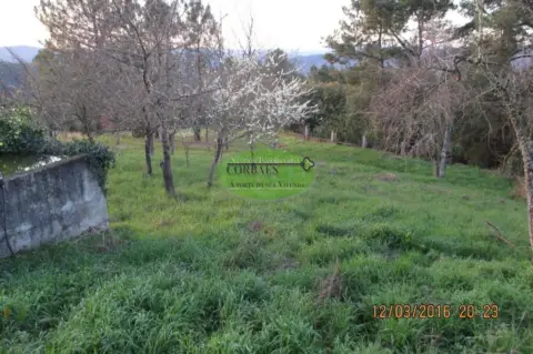 Terreno en Toén