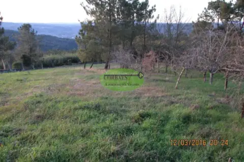 Terreno en Toén