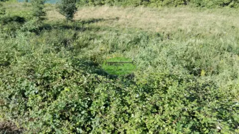 Terreno en Carballiño (O)
