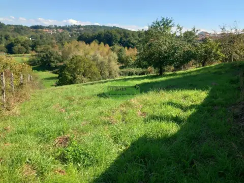 Terreno en San Cibrao Das Viñas
