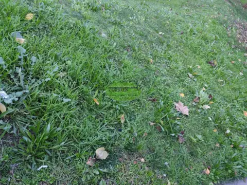 Terreno en Pereiro de Aguiar (O)