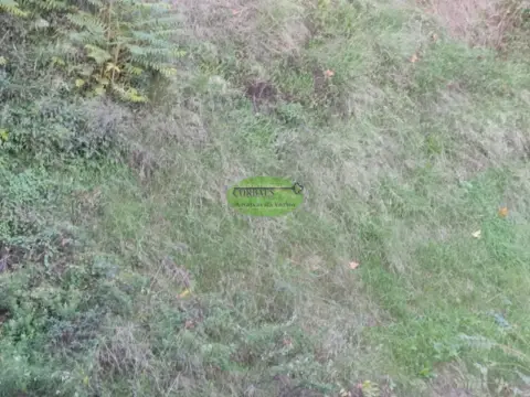 Terreno en Pereiro de Aguiar (O)