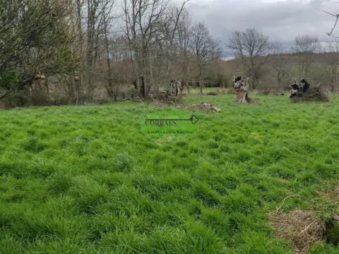 Finca rústica en Celanova