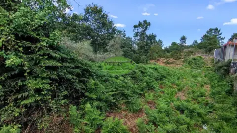 Finca rústica en San Cibrao Das Viñas