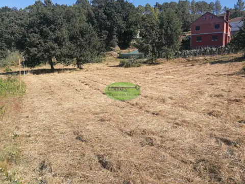 Terreno en Toén