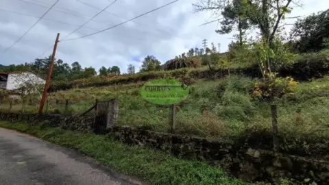 Finca rústica en Ourense