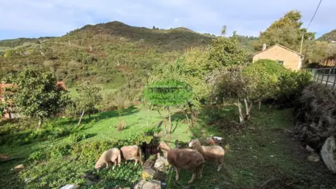 Finca rústica en Ourense