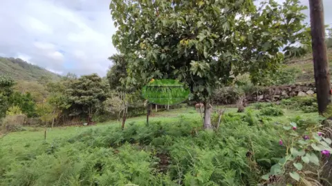 Finca rústica en Ourense