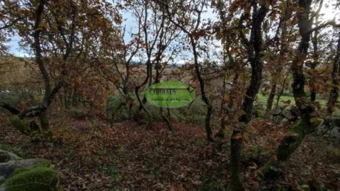 Finca rústica en Taboadela