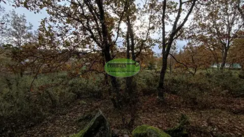 Finca rústica en Taboadela