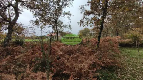 Finca rústica en Taboadela