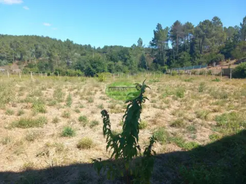 Terreno en Toén