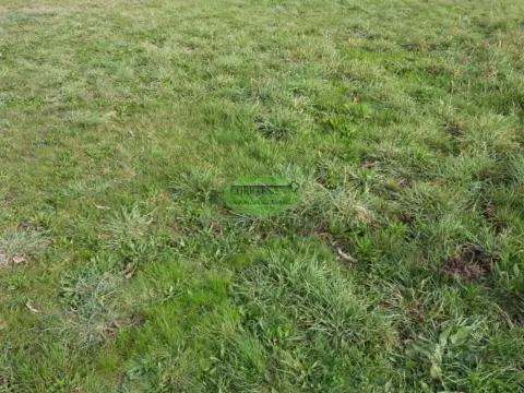 Terreno en San Cibrao Das Viñas