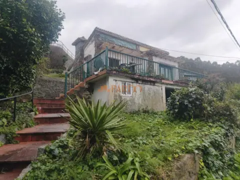 Pis – Ferrol