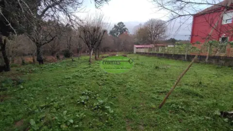Terreno en Carballiño (O)
