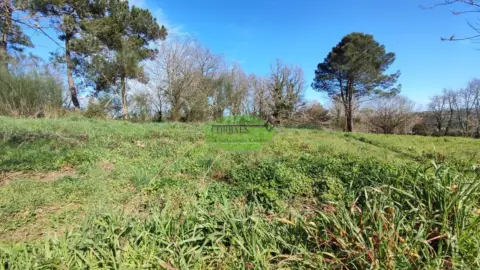 Terreno en Barbadás